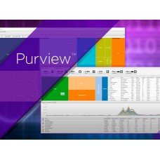 Система анализа потоков данных Purview Extreme Networks PV-FPM-50K